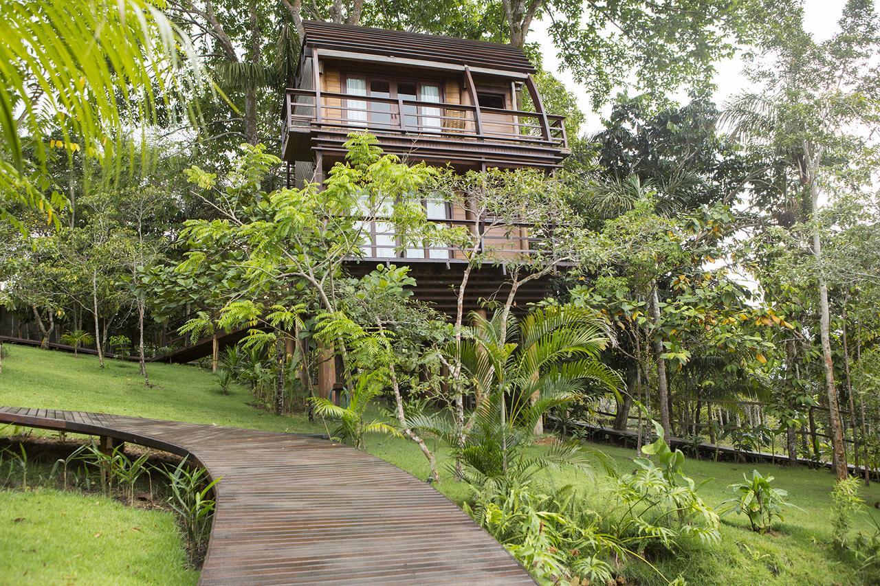 Mirante Do Gaviao Amazon Lodge Novo Airão Dış mekan fotoğraf